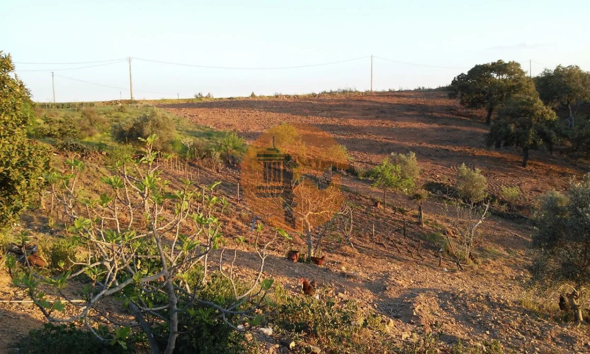 Terreno para Venda em Odeleite Foto 24