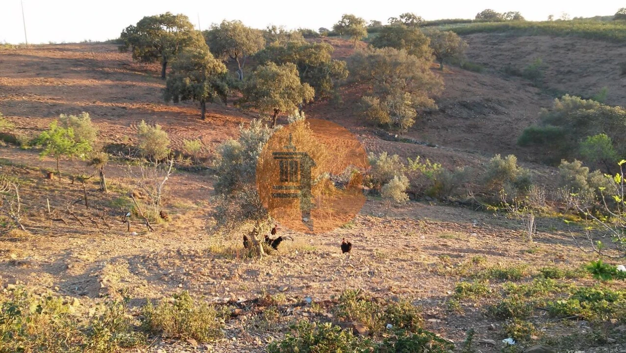 Terreno para Venda em Odeleite Foto 25