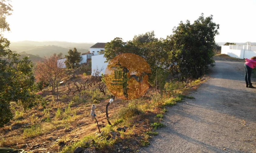 Terreno para Venda em Odeleite Foto 13
