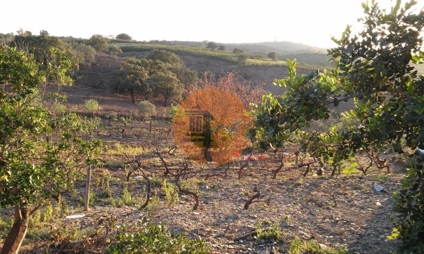 Terreno para Venda em Odeleite Foto 14