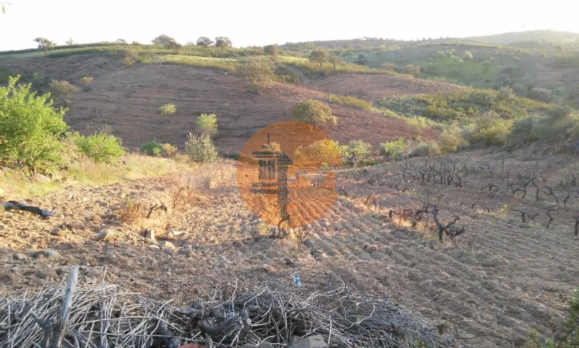 Terreno para Venda em Odeleite Foto 19