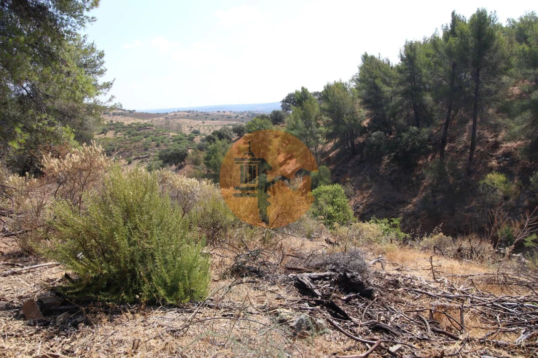 Terreno para Venda em Azinhal Foto 14