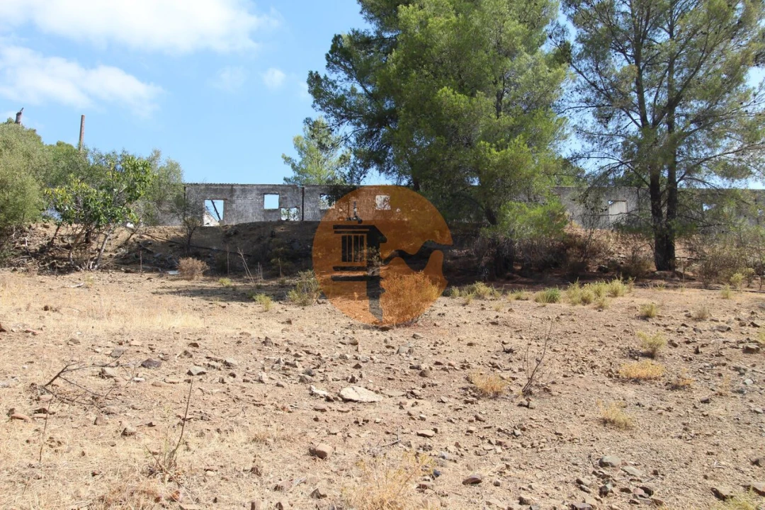 Terreno para Venda em Azinhal Foto 16
