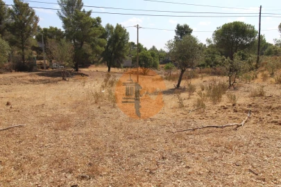 Terreno para Venda em Azinhal