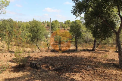 Terreno para Venda em Azinhal