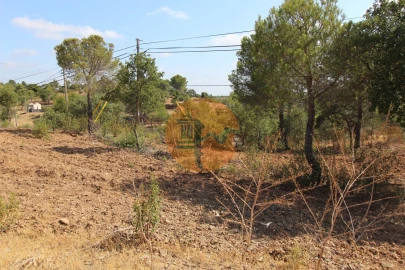 Terreno para Venda em Azinhal