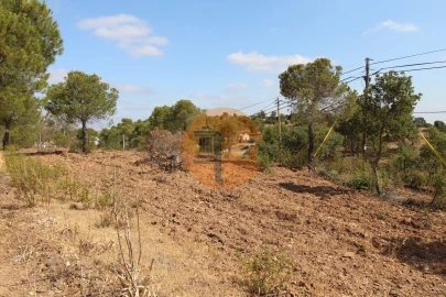 Terreno para Venda em Azinhal
