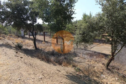 Terreno para Venda em Azinhal