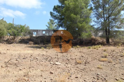 Terreno para Venda em Azinhal