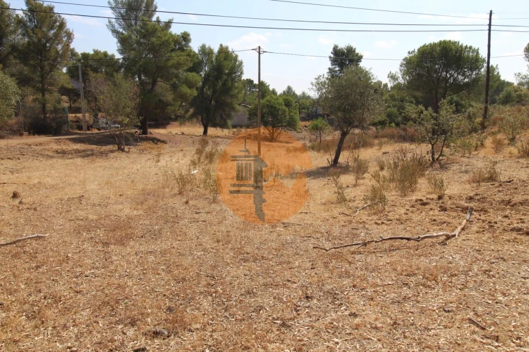 Terreno para Venda em Azinhal Foto 3