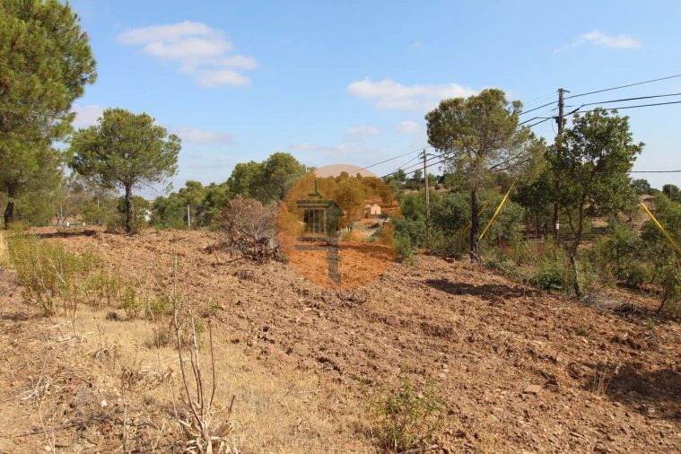 Terreno para Venda em Azinhal Foto 7