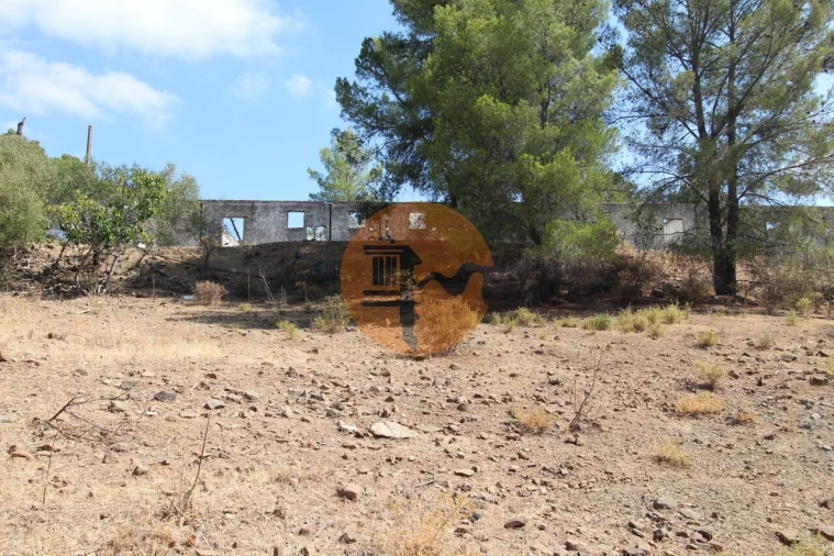 Terreno para Venda em Azinhal Foto 16