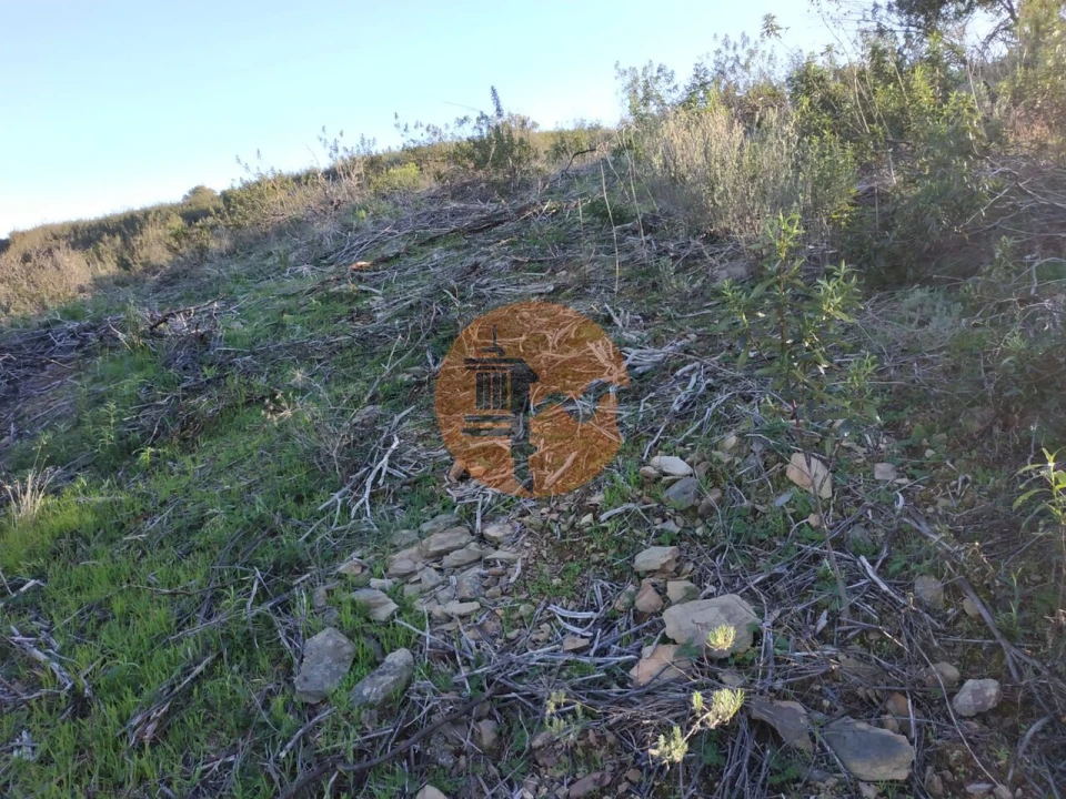Terreno para Venda em Azinhal Foto 13