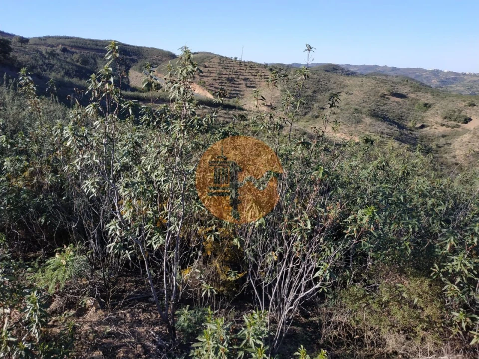 Terreno para Venda em Azinhal Foto 16