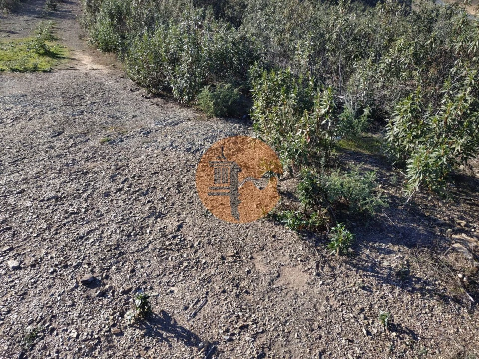 Terreno para Venda em Azinhal Foto 20