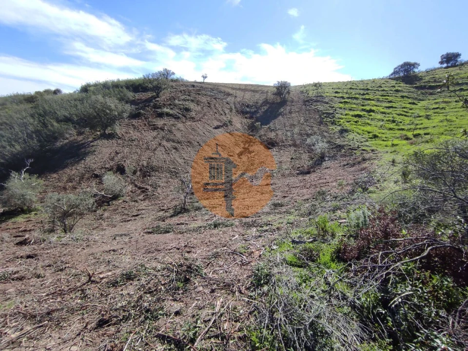 Terreno para Venda em Azinhal Foto 25