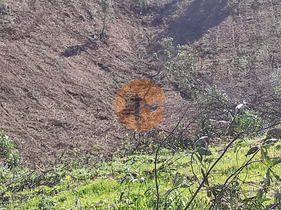 Terreno para Venda em Azinhal Foto 27