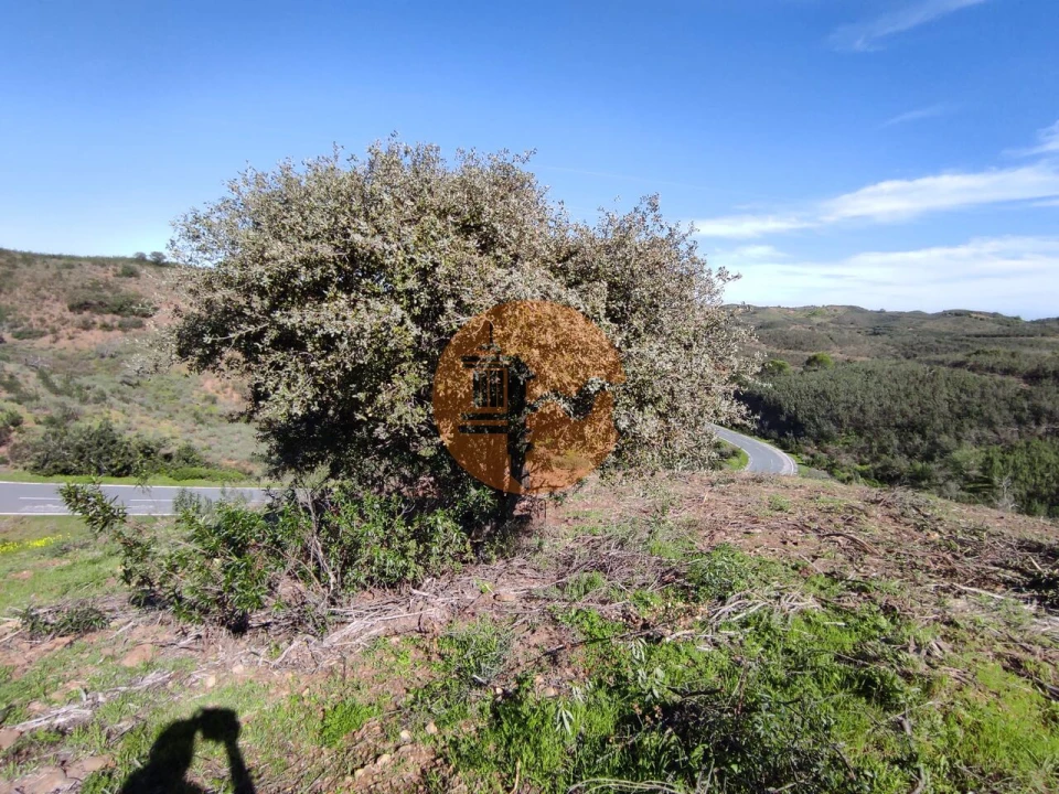 Terreno para Venda em Azinhal Foto 28