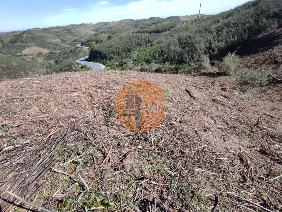 Terreno para Venda em Azinhal Foto 30