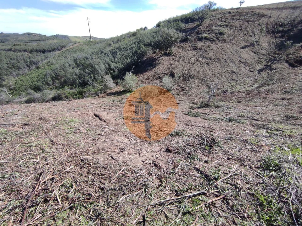 Terreno para Venda em Azinhal Foto 31