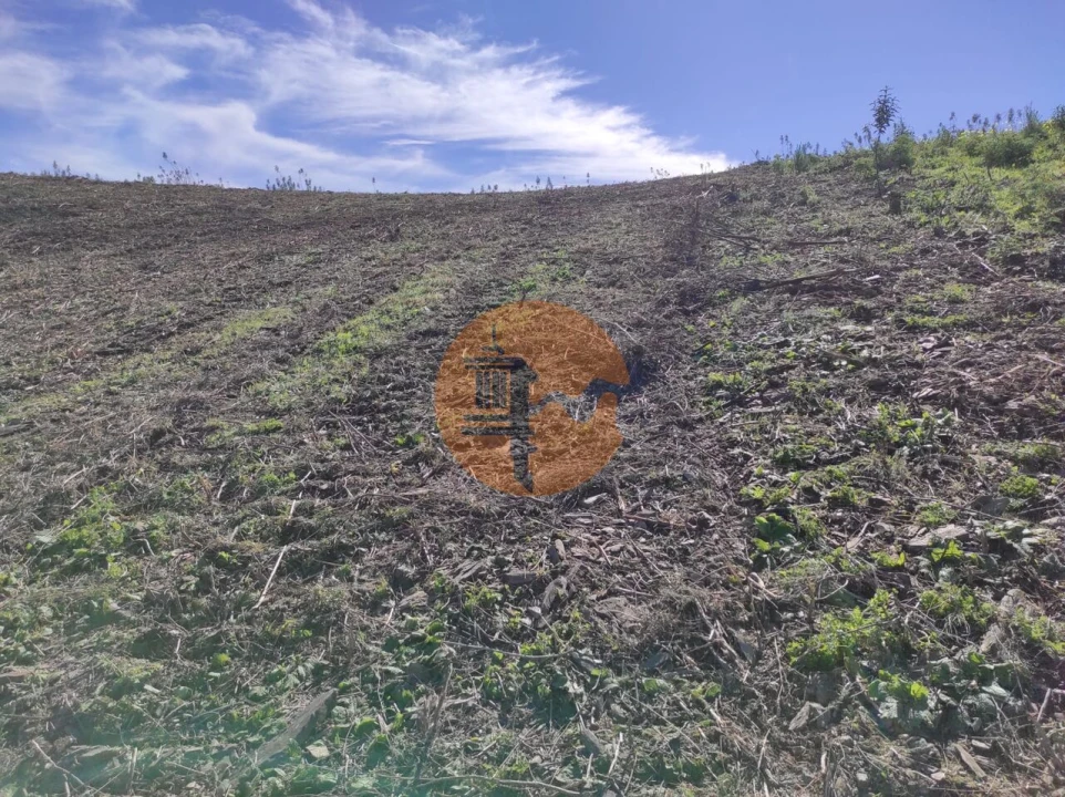 Terreno para Venda em Azinhal Foto 35