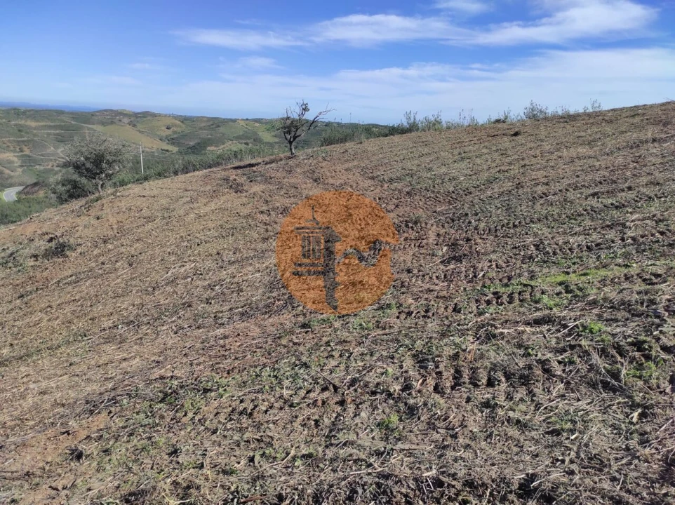 Terreno para Venda em Azinhal Foto 36