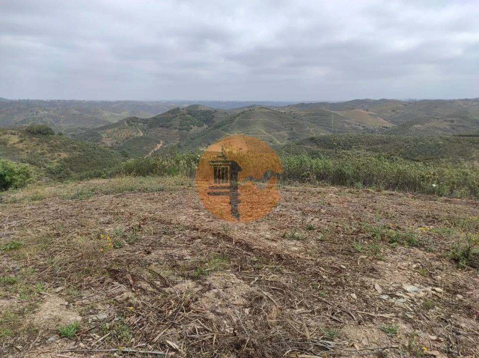 Terreno para Venda em Azinhal Foto 41