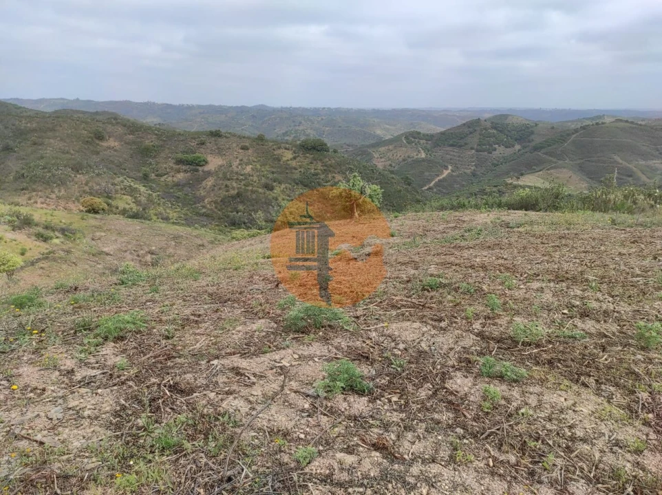 Terreno para Venda em Azinhal Foto 42