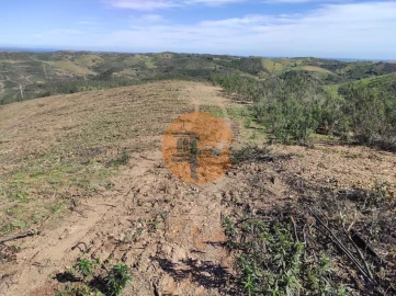 Terreno para Venda em Azinhal