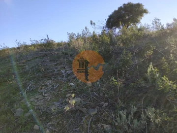 Terreno para Venda em Azinhal