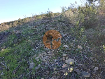 Terreno para Venda em Azinhal