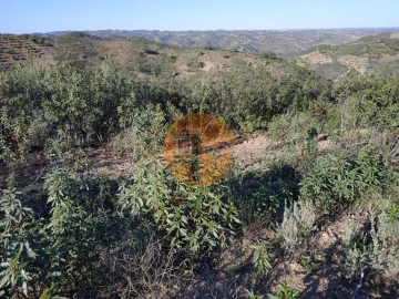 Terreno para Venda em Azinhal