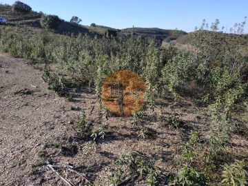 Terreno para Venda em Azinhal