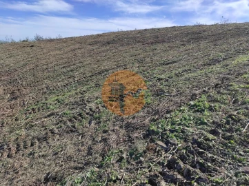 Terreno para Venda em Azinhal