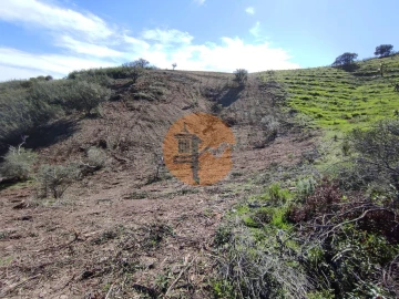 Terreno para Venda em Azinhal