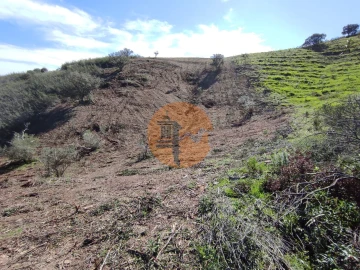 Terreno para Venda em Azinhal