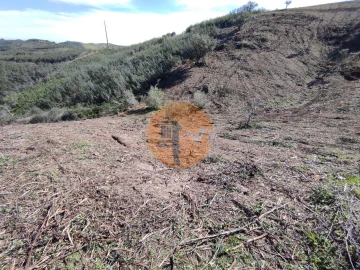 Terreno para Venda em Azinhal