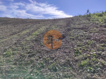 Terreno para Venda em Azinhal