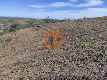 Terreno para Venda em Azinhal