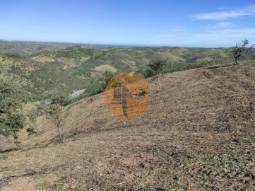 Terreno para Venda em Azinhal