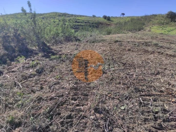 Terreno para Venda em Azinhal