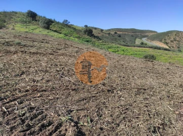 Terreno para Venda em Azinhal