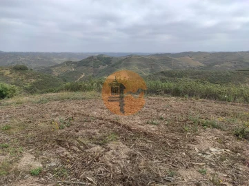 Terreno para Venda em Azinhal