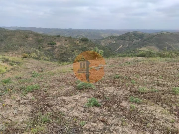 Terreno para Venda em Azinhal