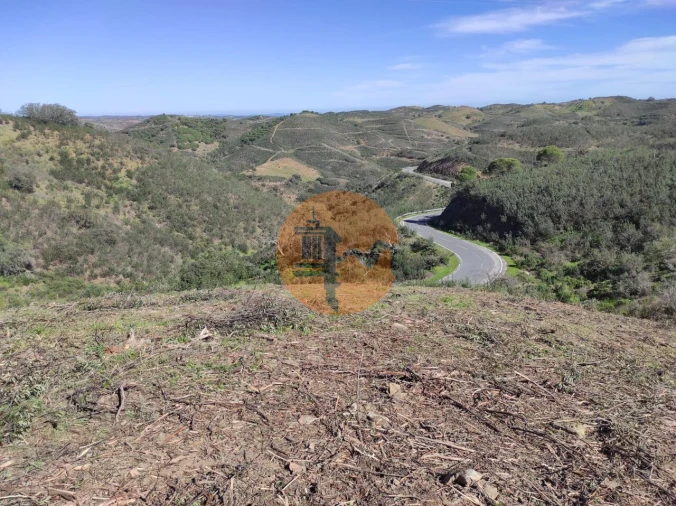 Terreno para Venda em Azinhal Foto 6