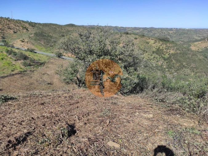 Terreno para Venda em Azinhal Foto 3