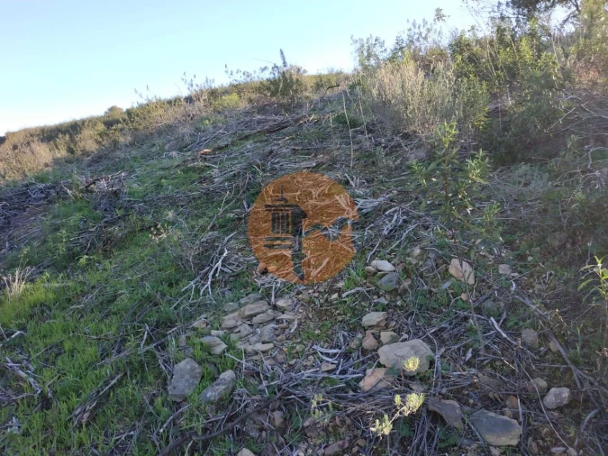 Terreno para Venda em Azinhal Foto 13