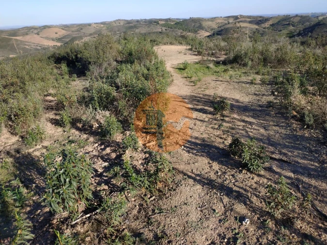 Terreno para Venda em Azinhal Foto 17