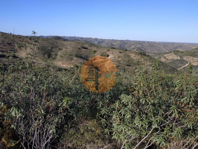Terreno para Venda em Azinhal Foto 19