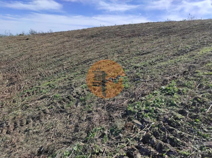 Terreno para Venda em Azinhal Foto 22